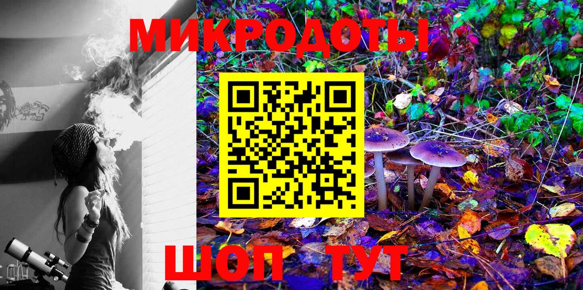 Псилоцибиновые грибы мицелий Лобня